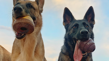 Hit The Trails With Super Chewer And Explore September's Theme: FALL HIKE