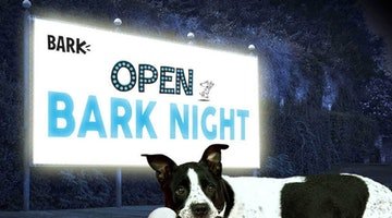 WE’RE BRINGING OPEN BARK NIGHT TO THE DRIVE-IN (COMING TO A CITY NEAR YOU!)